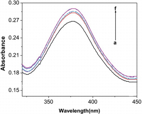 Fig. 4. Electronic spectral of complex 1 through titration with CT-DNA in tris–HCl. The increase of DNA concentration is indicated by an arrow.