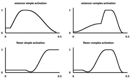Figure 2. Simple and complex activation profiles for the joint torque generators. For the extensors the simple profile comprised a ramping up and then a ramping down of the activation level whereas the complex profile allowed a double ramp up. For the flexors the simple profile comprised a ramping down followed by a ramping up of the activation profile whereas the complex profile allowed a final ramping down.