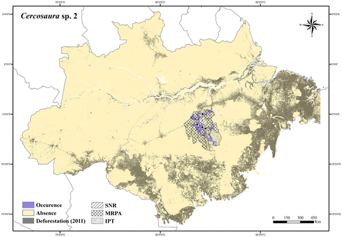Figure 39. Occurrence area and records of Cercosaura sp. 2, showing the overlap with protected and deforested areas.