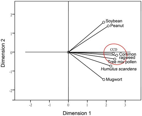 Figure 3 Optimal scale analysis of the sIgE levels of CCD and plant allergens. The closer the distance between the points is, the greater the likelihood that they contain the same information, indicating a closer relationship between them. The close proximity of CCD and ragweed and tree pollen allergens indicated that they have the closest relationship (Cronbach’s alpha=95.6%, suitable for this analysis).