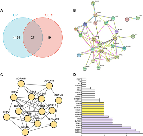 Figure 2 Prediction of potential targets of SERT on CP. (A) intersection of predicted targets of SERT and CP-related genes (B) PPI network of the overlapped targets between SERT and CP (C) the targets with the top 10 highest degrees in the PPI network (D) the degree of each target in the PPI network.