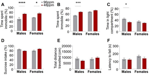 Figure 4. Increased depression-like behaviour in adult mice after early-life ID. Significant differences in behavioural despair in (A) the forced swim test in male and female and (B) the tail suspension test in male offspring from mothers provided with iron-deficient diet (IDD) (48 ppm) compared to iron-sufficient diet (ISD) (96 ppm) during pregnancy and lactation. (C) A significant decrease of time spent in the light compartment of the light/dark box in IDD male mice demonstrates increased anxiety-like behaviour. No differences between groups was found in anhedonic behaviour in the (D) sucrose preference test (percentage of sucrose preference), (E) exploratory activity in the open field test (total distance travelled) and (F) motor coordination in the rotarod (latency to fall off) (n=20–28/group). All data are presented as mean ± S.E.M. Data were analysed using two-way ANOVA; *p < 0.05, **p < 0.005, ***p < 0.001, ****p < 0.0001.