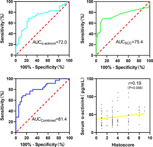 Figure 4 ROC curve analysis of different serum biomarkers for identifying CIN3+ disease and the correlation of ACTN4 expression in cervical tissue and serum with CIN3+ disease.