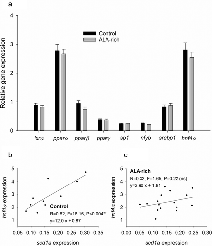 Figure 5. Gene expression of key transcription factors for hepatic lipid metabolism in the livers of offspring fish from control diet and ALA-rich diet fed parents (a). Data represent the mean ± sem of 18 individuals per condition. No significant differences were found in the hepatic expression of these TFs by Student t-test (P > 0.05). Correlation between hnf4a and scd1a gene expression in offspring from control (b) and ALA-rich (c) fed parents.