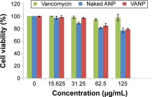 Figure 11 In vitro growth response of osteoblast (hFOB 1.19) cell to vancomycin, cockle shell-based ANP, and VANP as a measure of cytotoxicity.Note: Data are reported as the mean ± SD, n=3, based on three independent experiments.Abbreviations: hFOB 1.19, human fetal osteoblast cell line 1.19; ANP, aragonite nanoparticle; VANP, vancomycin-loaded aragonite nanoparticle; SD, standard deviation.
