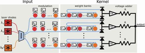 Figure 14. Photonic architecture for producing a single convolved pixel. Input images are encoded in intensities Al,h, where the pixel inputs Am,n,k with m∈[i,i+Rm],n∈[j,j+Rm],k∈[1,Dm] are represented as Al,h, l=1,…,D and h=1,…,R2. Considering the boundary parameters, we set D=Dm and R=Rm. Likewise, the filter values Fm,n,k are represented as are represented as Fl,h under the same conditions. We use an array of R2 lasers with different wavelengths λh to feed the MRRs. The input and kernel values, WCIM_A_1985028 and Fl,h modulate the MRRs via electrical currents proportional to those values. Then, the photonic weight banks will perform the dot products on these modulated signals in parallel. Finally, the voltage adder with resistance R adds all signals from the weight banks, resulting in the convolved feature