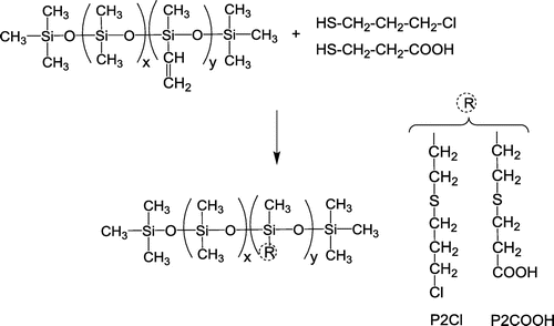 Scheme 3. Synthesis of the polar silicones derived from P2.