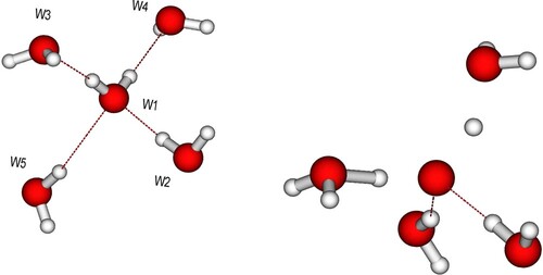 Figure 4. (Left) Initial pentamer structure defining H-bond donors (W2, W5) and acceptors (W3, W4) with respect to the central molecule. The D2A2 and D1A1 model pentamers differ in the W4, W5 bond lengths, which are elongated for the D1A1 species. (Right) Example snapshot after 8 fs of a D2A2 trajectory where both protons are significantly distanced from the oxygen.
