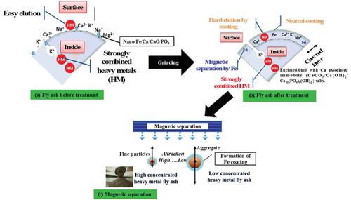 Figure 4. Schematic representation of possible mechanisms that may determine the remediation and separation of heavy metal–contaminated fly ash after simple mixing in dry conditions: (a) fly ash before treatment, heavy metal adsorption, and nano-Fe/Ca/CaO/PO4 addition; (b) fly ash surface covered/enclosed/heavy metals immobilization; and (c) high and low concentrated heavy metal fly ash separation by magnet.