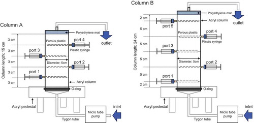 Figure 1. Setup of laboratory soil columns used in denitrification experiments. The calcium nitrate solution was loaded from the inlet and pushed upward by a micro-tube pump. The columns were equipped with sampling ports for the collection of pore water with porous plastic tubes. Columns A and B were used in Experiments 1 and 2, respectively.