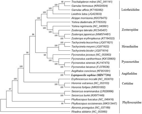 Figure 1. Phylogenetic relationships of 28 taxa were inferred using the maximum likelihood method based on their entire mitochondrial genome (their genbank accession number in parentheses; numbers at branches denote bootstrap values from 1000 replications; the sequence from this study is marked in bold).