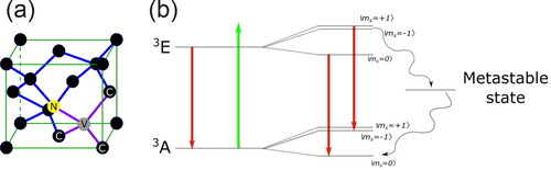 Figure 1. (a) The structure of the NV centre in the diamond crystal, which contains a substitution N atom directly connected to a vacancy with C3v symmetry. (b) The simplified level structure of the NV centre. Its unique transitions lead to optical spin initialisation and readout. The optically detected magnetic resonance (ODMR) measurement is enabled by scanning MW of frequencies across the resonant frequencies between |0〉 and |±1〉 ground states.