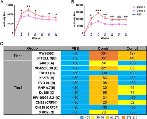 Figure 6 Antibody expression and neutralizing activity of antibodies expressed by combined rAAV8s. (A) The BG505 protein was used to detect the titer of co-expressed antibody. (B) The titer of the co-expressed antibody was assessed using the gp41 peptide. (C) ID50 of expressed antibodies in BALB/c mice sera against tier 1 and tier 2 HIV-1 isolates. *P < 0.05, **P < 0.01, ***P < 0.001.