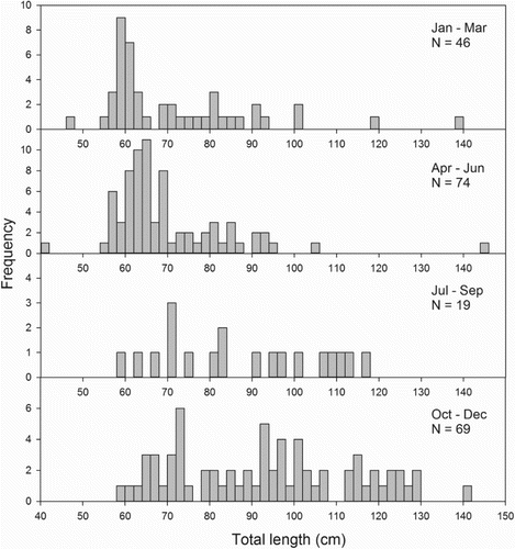 Figure 3. Quarterly length-frequency distributions of hammerhead sharks (Sphyrna zygaena) caught in research trawl surveys. Note that the vertical axes differ in scale.