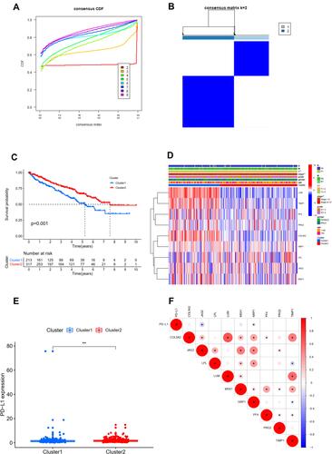 Figure 2 Consensus clustering analysis for identifying two angiogenesis molecular subtypes of ccRCC (A and B). Comparison of OS between these two subtypes (C). The correlation heatmap between this angiogenesis molecular subtypes and clinicopathologic features (D). The expression level of PD-L1 between these two subtypes (E). The expression correlation of PD-L1 with nine angiogenesis-related prognostic DEGs (F). **P<0.01; *P<0.05.