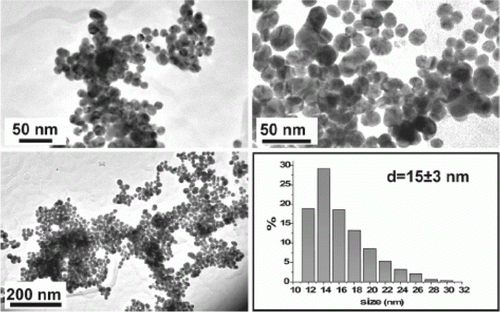 Figure 18.  TEM images of palladium nanoparticles used as catalysts for the Ullmann type homocoupling reactions (72). Reprinted with permission from American Chemical Society © 2010.