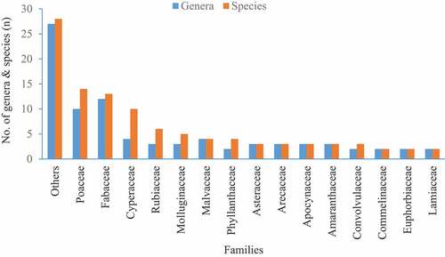Figure 2. Contribution of plant species from families of the coastal sand dune.