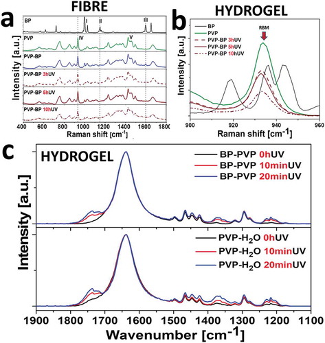 Figure 2. Raman spectra of 17 wt% PVP without and with 2 wt% BP, after 0, 3, 5 and 10 h of UV exposure (a). Selected region of 900–960 cm−1 shows the decrease of the ring breathing mode (RBM) peak at 935 cm−1 with the UV time exposure increase (b). Normalized (at 1634 cm−1) FTIR absorption spectra of obtained for the PVP (bottom) and PVP-BP (top) under short UV irradiation times (0, 10 and 20 min) (c).