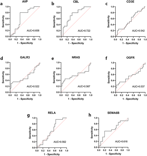 Figure 7 The ROC curve of eight hub genes based on the data set of the validation cohort GSE49126. (a) AVP; (b) CBL; (c) CD3E; (d) GALR3; (e) NRAS; (f) OGFR; (g) RELA; (h) SEMA6B.