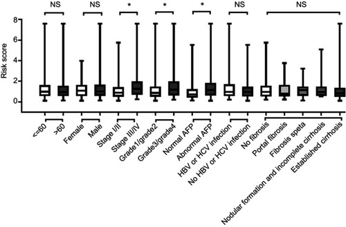 Figure 4 The relationship between risk score distribution and clinical parameters stratification. Including age, gender, tumor pathologic stage, tumor grade, plasma AFP level and liver fibrosis status.Notes: *Represent for p-value<0.05, NS represent no statistical difference.