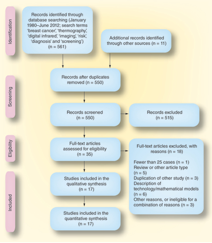 Figure 1. Preferred Reporting Items for Systematic Reviews and Meta-Analyses (PRISMA) flow diagram outlining the outcomes of the literature search and screening of studies.