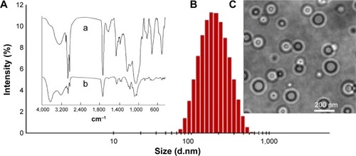 Figure 1 Characterization of the double nanocapsules.Notes: (A) FTIR spectra of lecithin (a) and PLGA (b). The characteristic peaks of lecithin: CH2, 2.920 cm−1; C=O, 1.740 cm−1; CH3, 1.460 cm−1; P=O, 1.220 cm−1; P–O–C, 1.080 cm−1. The peaks of PLGA: –O–H, 3.448 cm−1; C=O, 1.740 cm−1; C–H, 2.994, 2.920, 1.460, 1.430, and 1.400 cm−1. (B) DLS and (C) TEM images of the nanocapsules. Lecithin was used as the surfactant to form the inner aqueous phase, and PLGA and linoleic acid as the oil phase to prepare the nanocapsules.Abbreviations: FTIR, Fourier transform infrared spectroscopy; PLGA, poly(lactic-co-glycolic acid); DLS, dynamic light scattering; TEM, transmission electron microscopy.