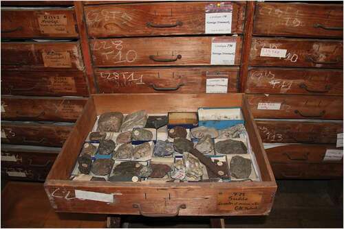 Figure 14. Drawer with geological specimen from the E. Robert collection deriving from the La Recherche expedition to Scandinavia, Laponia, Spitsbergen and the Faroe Islands 1838–40. Courtesy / Copyright Pierre Sans-Jofre / Muséum national d’Histoire naturelle, Paris