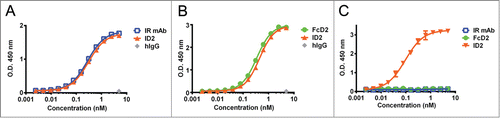 Figure 2. Binding to IGF-IR, VEGF and evidence for co-engagement of both targets by ELISA. (A) ID2 (orange), IR mAb (blue) and human IgG control (gray) binding to human IGF-IR-Fc. (B) ID2 (orange), FcD2 (green) and human IgG control (gray) binding to human VEGF. (C) ID2 (orange), IR mAb (blue) and FcD2 (green) binding to both human IGF-IR-Fc (coated) and human VEGF (detected). Each panel is a representative experiment of at least 3 repeated measurements. The graph is plotted as mean ± SEM (n = 2 ).