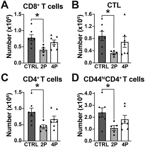 Figure 4. The 2 PFAS mixture affected CD8+ and CD4+ T-cells during influenza virus infection. Flow cytometry was used to measure CD8+ and CD4+ T-cell populations in MLN of PFAS-exposed and control mice on Day 9 post-infection. (A) Mean number of CD8+ T-cells. (B) Mean number of CTL (CD44hiCD62LloCD8+). (C) Mean number of CD4+ T-cells. (D) Mean number of activated (CD44hi) CD4+ T-cells. Data (shown as mean ± SEM) were analyzed by one-way ANOVA followed by a Tukey’s HSD post-hoc test. *significant difference (p ≤ 0.05) between groups indicated. p-values from Tukey’s test are listed in Table S4. CTRL: n = 7, 2 PFAS: n = 5; 4 PFAS: n = 7.