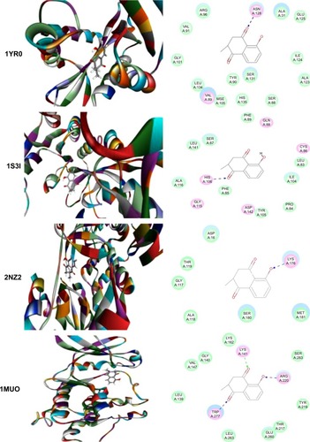 Figure 3 Molecular interactions between PLB and selected predicted targets.