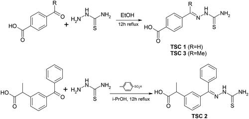 Scheme 1. Synthesis of the thiosemicarbazones TSC 1 and TSC 3 (top) and TSC 2 (bottom).