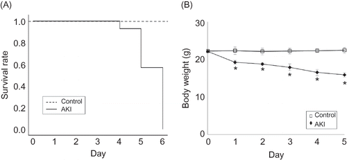 Figure 1. (A) Survival rate of AKI mice. The mice began to die on day 3 and 100% mice (50/50) had died by day 6 after 0.75% adenine ingestion (n = 50). (B) Change of body weight in AKI mice. The body weight of AKI mice decreased after 0.75% adenine ingestion (n = 10 at each time point). Notes: Values are expressed as the mean ± SE. *p < 0.05.