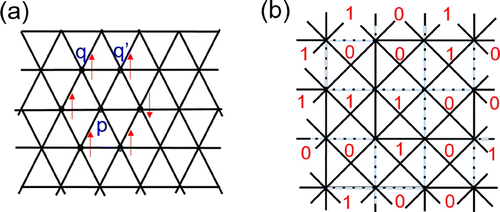 Figure 8. (a) Triangular lattice; (b) Union-Jack Lattice.
