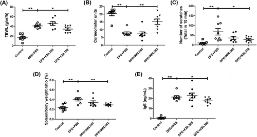 Figure 2. Effects of oral administration of L. rhamnosus KBL365 or L. paracasei KBL382 on epidermal hydration, scratching behavior, and overall immune response in AD mice. To evaluate epidermal hydration, (A) transepidermal water loss (TEWL) and (B) corneometer units were measured. (C) Scratching behavior was observed for 10 min on d 49. (D) The ratio of spleen-to-body weight was calculated on d 49 after sacrifice. (E) The concentration of immunoglobulin (Ig)E in collected serum on d 49 was determined using an ELISA kit. Statistical analyses were performed using the Mann–Whitney U-test for comparison with DFE+PBS mice (N = 7–9 mice per group). Error bars represent SEM. * P< .05; ** P< .01.