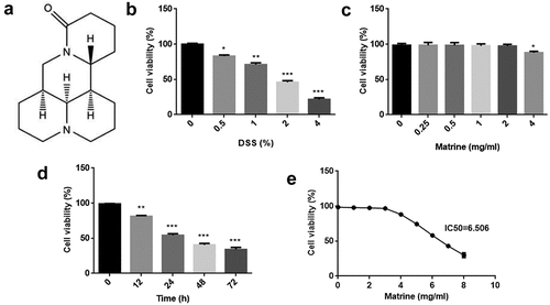 Figure 1. Effects of matrine on cell viability of NCM460 cells. (a) Chemical structure of matrine. (b) Cell viability was measured using MTT assay after NCM460 cells treating with 0, 0.5, 1, 2, and 4% DSS for 24 h. (c) Cell viability was assessed using MTT assay after treating with 0, 0.25, 0.5, 1, 2, and 4 mg/ml matrine for 24 h. (d) Cell viability was assessed using MTT assay after the cells treating with 2 mg/ml matrine for 0, 12, 24, 48 and 72 h. (e) Matrine IC50 was calculated. *P < 0.05. **P < 0.01. ***P < 0.001.