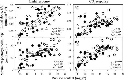 Figure 6. Correlations between the Rubisco content with the rate of initial slope (A1 and A2) and maximum photosynthesis (B1 and B2) of 32R (●), 29S (○) and Nb (△). The rR, rS and rNb are r values for 32R, 29S and Nb, respectively. The symbols indicate statistical significance at ***p < .001, **p < .01 and *p < .05.