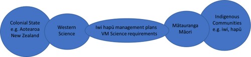 Figure 4. The hybrid ‘third space’ for understanding iwi aspirations and priorities for research (adapted from Matunga Citation2017, p. 644).