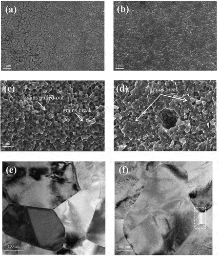 Figure 8. SEM images of polished and thermally etched surfaces of (a) 1.5ge-3Y and (b) 1ge-0.25al-3Y zirconia ceramics sintered for 2 h at 1450°C and fractured surfaces of (c) 1.5ge-3Y and (d) 1ge-0.25al-3Y after a flexural strength test. TEM microstructure images of (e) 1.5ge-3Y and (f) 1ge-0.25al-3Y.