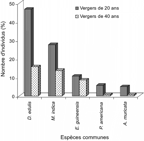 Fig. 2 Comparaison des effectifs des espèces communes dans les deux types de vergers. Fig. 2. Comparison of the common species in the two orchard types.