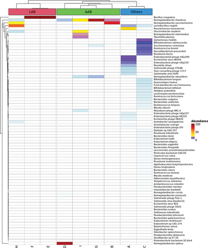 Figure 1. A. Heatmap of microbial species. The heatmap of 81 microbial species detected across the nine kombucha products after filtering for species with >0.1% relative abundance.