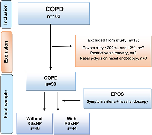 Figure 1 Flow chart of the study participants and the subjects excluded.