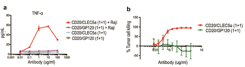 Figure 6. Characterization of cross-species agonistic activity of CLEC5A bispecific antibody Activation of CLEC5A (TNF production) in mouse BMDMs by the bispecific antibody in the presence of target Raji cells (Mean ± S.D of triplicates). (b) Mouse BMDM-mediated tumor (Raji) cell-killing in the presence of indicated bispecific antibodies (Mean ± S.D of triplicates). Effector: Target ratio for phagocytosis and cytokine assays is 5:1.