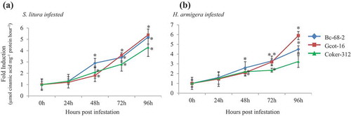 Figure 5. The PAL enzyme activity in different cotton varieties. The effect of chewing pest infestation on PAL activity in the leaf tissue (n = 3) of Coker-312, Bc-68-2 and Gcot-16 at 0 h, 24 h, 48 h, 72 h and 96 h post infestation. Significant difference in control and infested plants is represented by * = P ≤ 0.05.