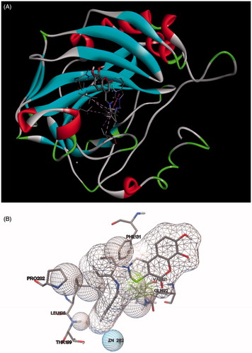 Figure 1. Docking of compound 3j within the hCA II active site. (A) Discovery Studio 4.0 Client images and (B) ADT images.