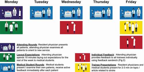 Figure 1. The active feedback program. this week-long program can be extended for longer rotations by keeping the 1st individual feedback session halfway through the rotation. medical students at our institution may or may not round on the weekends, which is why this schedule ends on a friday