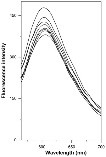 Figure 6 Competitive displacement of intercalating dye EtBr from EtBr-CT-DNA complex by the Cd–MAA complex.Notes: Curves from top to bottom: EtBr (10 μmol/L) +CT-DNA (50 μmol/L); EtBr (10 μmol/L) +CT-DNA (50 μmol/L) +cadmium complex (10, 20, 30, 40, 50, 100, 1000 μmol/L). Fluorescence was monitored at 605 nm using an excitation wavelength of 518 nm.Abbreviations: EtBr, ethidium bromide; CT-DNA, Calf-thymus DNA; Cd-MAA, cadmium-mercaptoacetic acid.