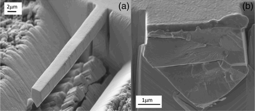 6 Fracture testing of micro-cantilever in tungsten (taken from Armstronget al.Citation33)