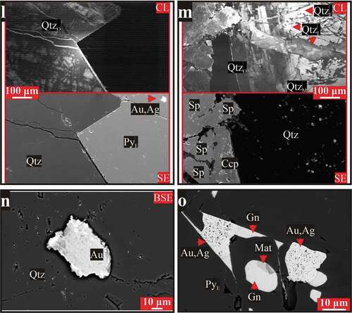 Figure 5. (Continued). (l) Superimposition of QtzO is at its maximum with the occurrence of visible gold, (m) CL and SE images of the same area in a reactivated vein, with quartz displays many generations, (n) Native gold grain occurs in the comb quartz of a breccia vein, and (o) BSE imaging with contrast adjusted to show gold, galena, and matildite having sealed open spaces within an early pyrite crystal. Abbreviations: Sd = siderite; Qtz = quartz; Ccp = chalcopyrite; Py = pyrite; Brt = barite; Gn = galena; Sp = sphalerite; Au = native gold; Au,Ag = Au-Ag alloy; Cal = calcite; Mat = matildite; Kfs = K-feldspar; Ser = sericite; Mnz = monazite; Rt = rutile. Quartz stages labelled (QtzE, QtzM, QtzO, and QtzL) for (early-, main-, ore-, and late-stages). Pyrite types labelled (PyE, PyV, and PyI) for (early, vein, and interstices-filling pyrites)