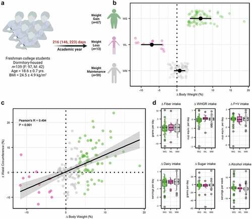 Figure 1. (a) Overview of study design. Participants that experienced weight gain (WG), weight loss (WL), or weight maintenance (WM) over the sampling period were assessed as discrete categories. (b) Change in body weight by weight change category. (c) Pearson’s partial correlation analysis between change in body weight and waist circumference. (d) Difference for change in fiber, whole grain (WHGR), fruit and vegetable (F+V), dairy, added sugar, or alcohol intake between WG, WL, and WM participants.