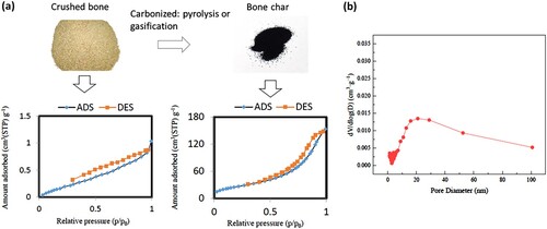 Figure 2. Textural characteristics: (a) Nitrogen sorption isotherm of crushed cow bone and its char [Citation44] and (b) Fish bone char pore size distribution prepared at 600°C [Citation46].